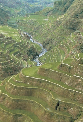 Farming on mountain terraces.