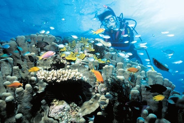 image title: Great Barrier Reef