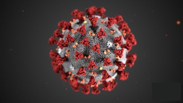 image title: Coronavirus SARS-CoV-2