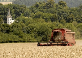 Grain harvest in Slovakia photo
