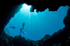 Skin diving photo